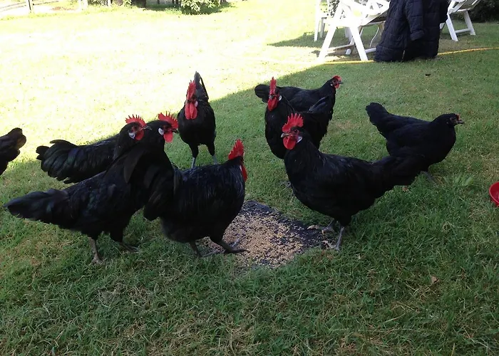 Agroturismo La Badiola
