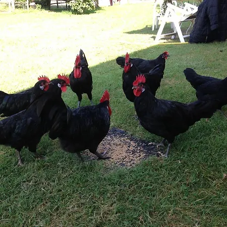 Farm stay La Badiola