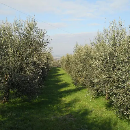 Alloggio per agriturismo La Badiola